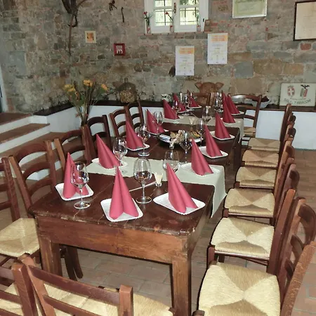 Domus Rustica