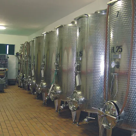 Domus Rustica